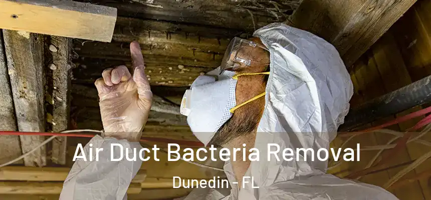 Air Duct Bacteria Removal Dunedin - FL