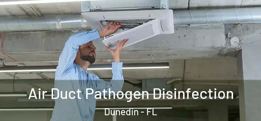 Air Duct Pathogen Disinfection Dunedin - FL