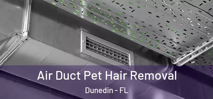 Air Duct Pet Hair Removal Dunedin - FL