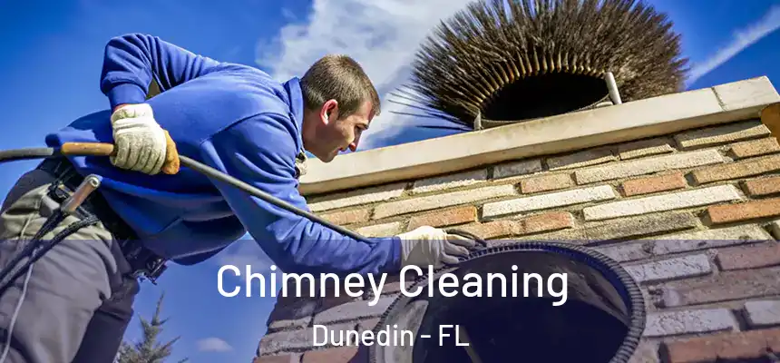 Chimney Cleaning Dunedin - FL