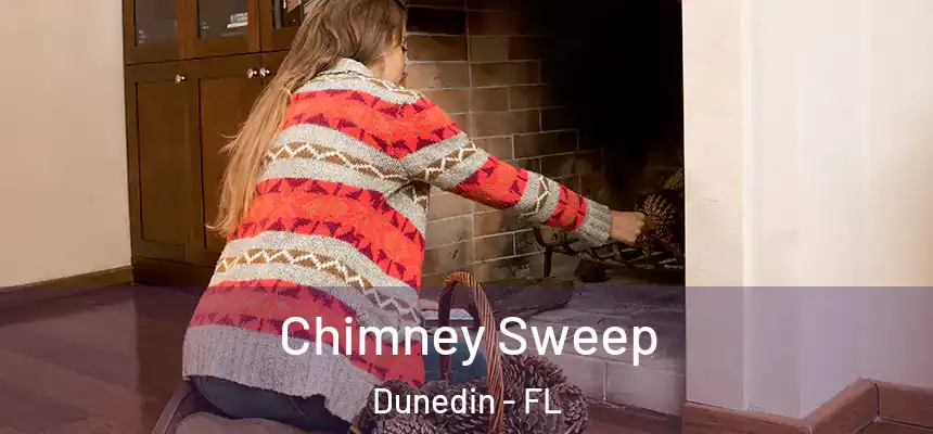 Chimney Sweep Dunedin - FL