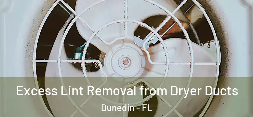  Excess Lint Removal from Dryer Ducts Dunedin - FL