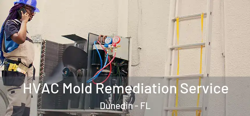 HVAC Mold Remediation Service Dunedin - FL