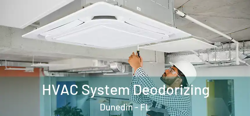 HVAC System Deodorizing Dunedin - FL