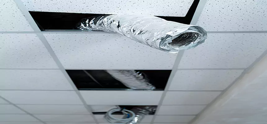 Our Air Duct Pet Hair Removal Services in Dunedin, FL