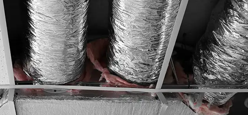 Scalable Commercial Multi‑Unit Dryer Vent Camera Inspection in Dunedin, FL