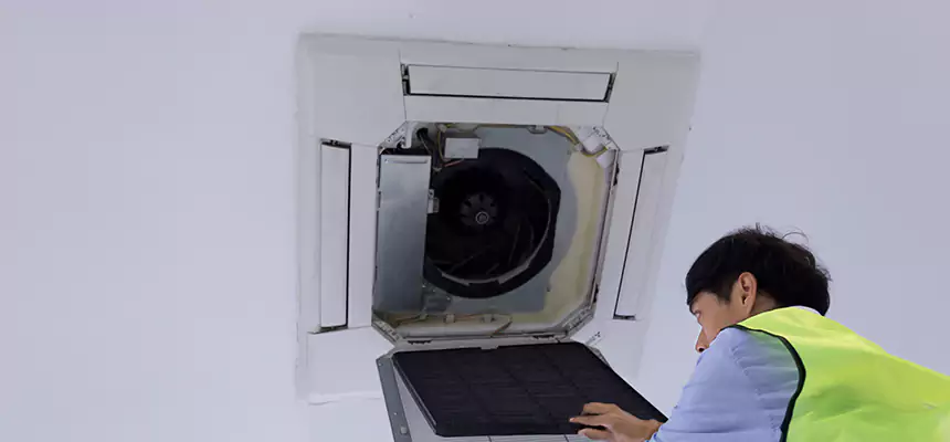 Our Dryer Vent Sanitization Service Services in Dunedin, FL
