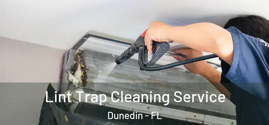 Lint Trap Cleaning Service Dunedin - FL