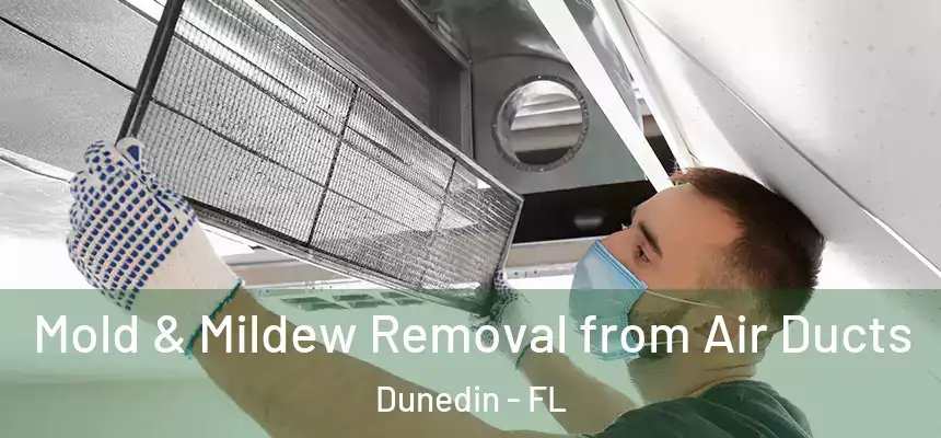 Mold & Mildew Removal from Air Ducts Dunedin - FL