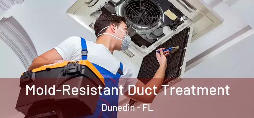 Mold-Resistant Duct Treatment Dunedin - FL