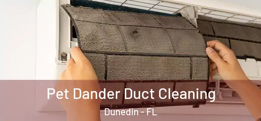 Pet Dander Duct Cleaning Dunedin - FL