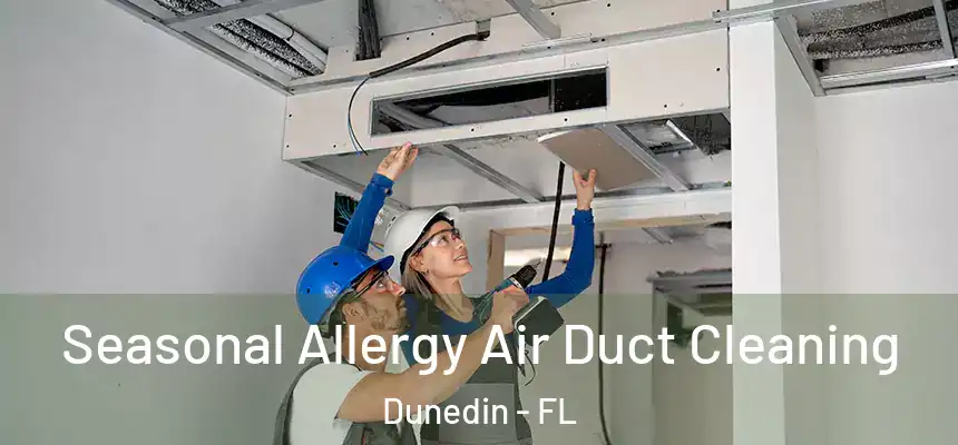 Seasonal Allergy Air Duct Cleaning Dunedin - FL
