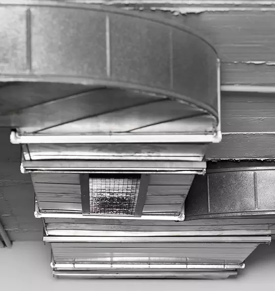 Professional Air Duct Pet Hair Removal in Dunedin, FL