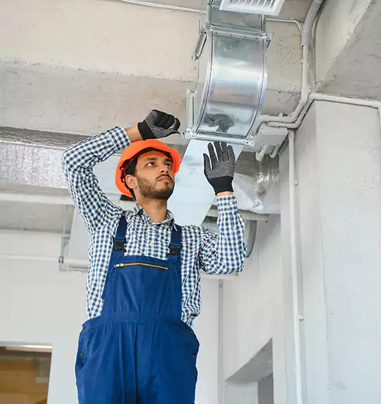 Affordable Lint Buildup Removal in Dunedin, FL