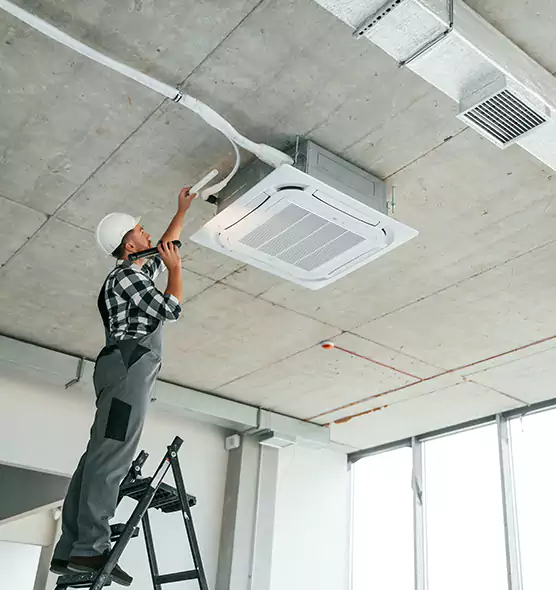 Advanced Pest Removal From Ducts in Dunedin, FL