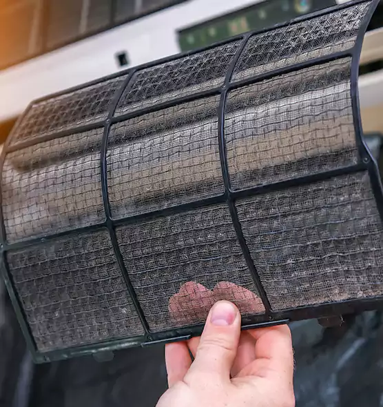 About Pet Dander Duct Cleaning in Dunedin, FL